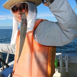 松本釣船２ 釣果