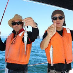 松本釣船２ 釣果