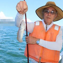 松本釣船２ 釣果