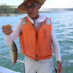 松本釣船２ 釣果