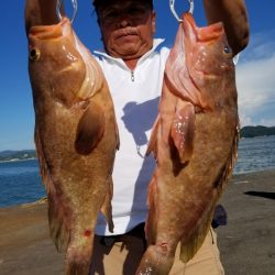 オーフリー 釣果