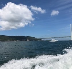 利弥丸(としやまる) 釣果