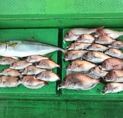 利弥丸(としやまる) 釣果