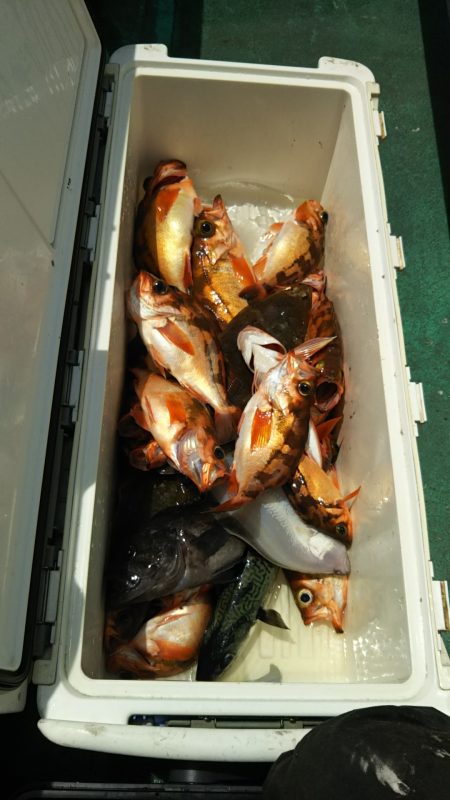 モンロー号 釣果