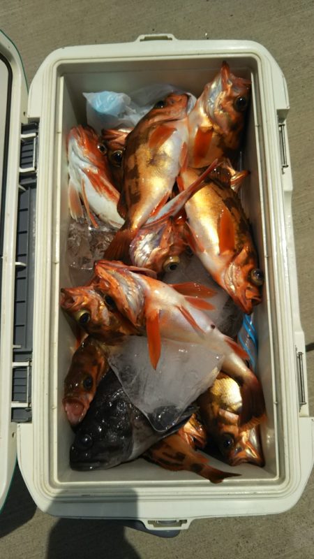 モンロー号 釣果