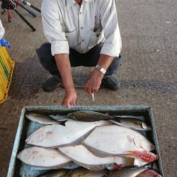 明神釣船 釣果