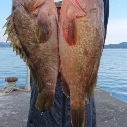 オーフリー 釣果