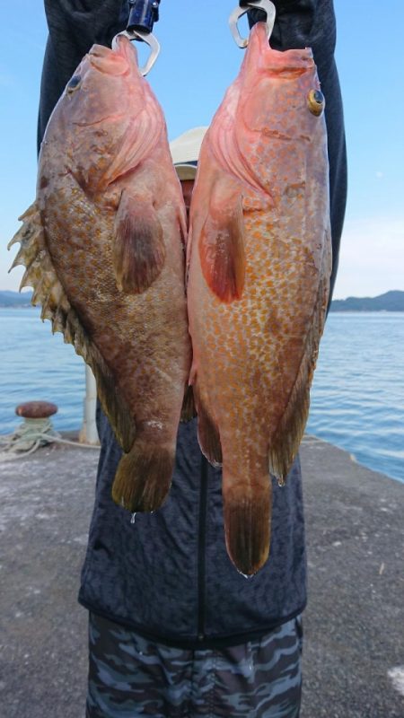 オーフリー 釣果