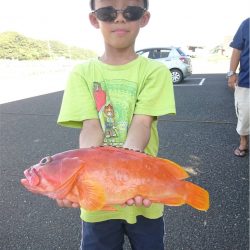 マタウマリンサービス 釣果