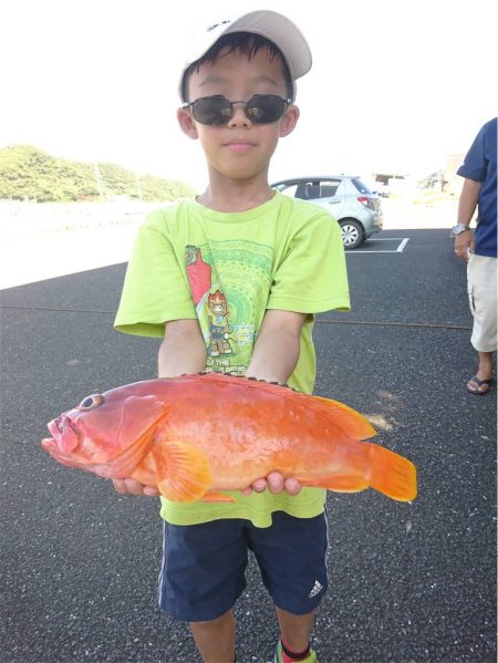 マタウマリンサービス 釣果