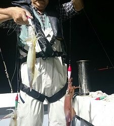 海龍丸(福岡) 釣果