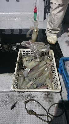 海龍丸(福岡) 釣果