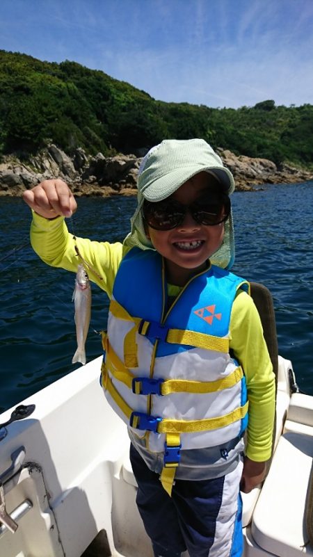 ルアー船マヒマヒ 釣果