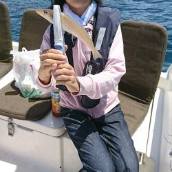 ルアー船マヒマヒ 釣果