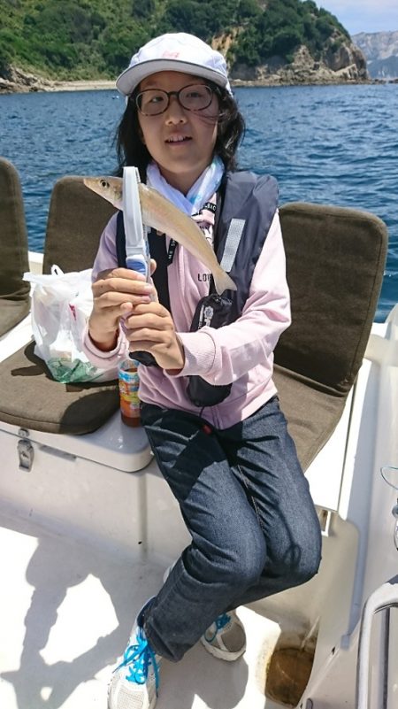 ルアー船マヒマヒ 釣果