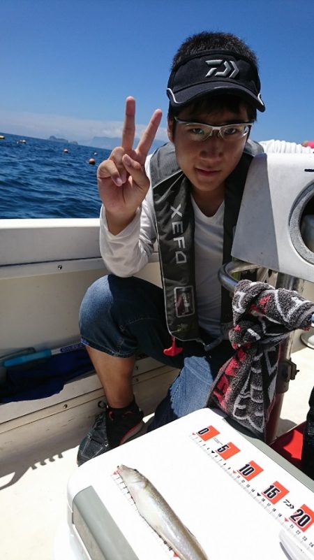 ルアー船マヒマヒ 釣果