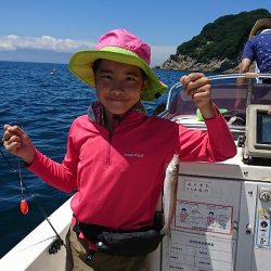 ルアー船マヒマヒ 釣果