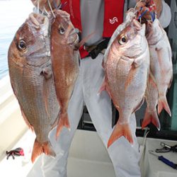 松本釣船２ 釣果