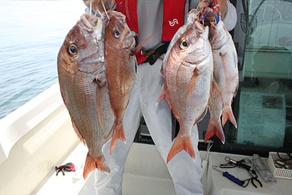 松本釣船２ 釣果