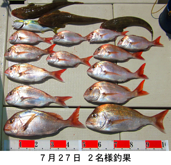 来温丸（らいおんまる） 釣果