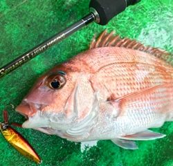 利弥丸(としやまる) 釣果