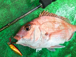 利弥丸(としやまる) 釣果