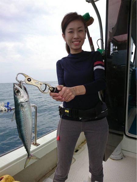 マタウマリンサービス 釣果