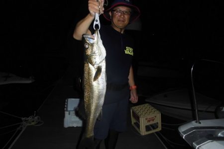 ルアー船マヒマヒ 釣果