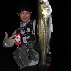 ルアー船マヒマヒ 釣果