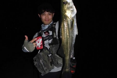 ルアー船マヒマヒ 釣果