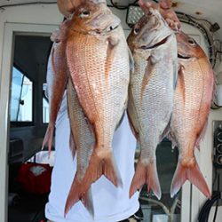 松本釣船２ 釣果