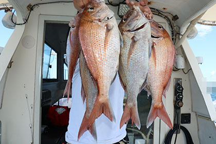 松本釣船２ 釣果