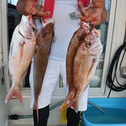 松本釣船２ 釣果