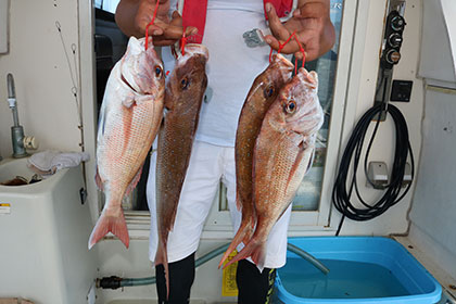 松本釣船２ 釣果