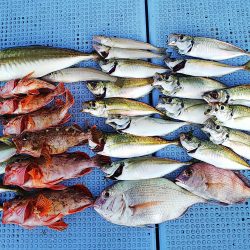 第二常豊丸 釣果