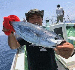 橋安丸 釣果