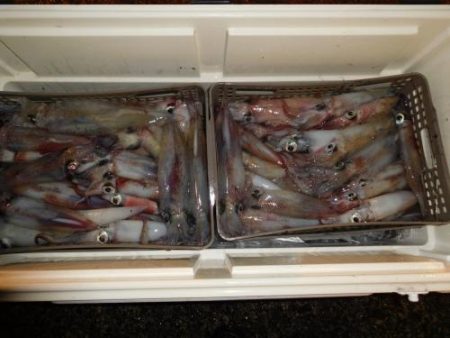 第二一之紀丸（ダイニイチノキマル） 釣果