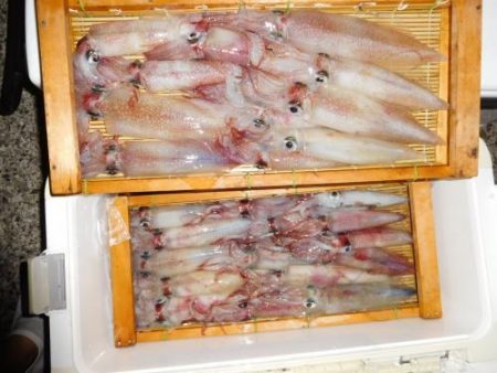 第二一之紀丸（ダイニイチノキマル） 釣果