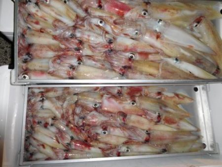 第二一之紀丸（ダイニイチノキマル） 釣果