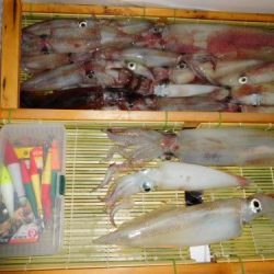 第二一之紀丸（ダイニイチノキマル） 釣果