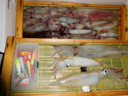 第二一之紀丸（ダイニイチノキマル） 釣果