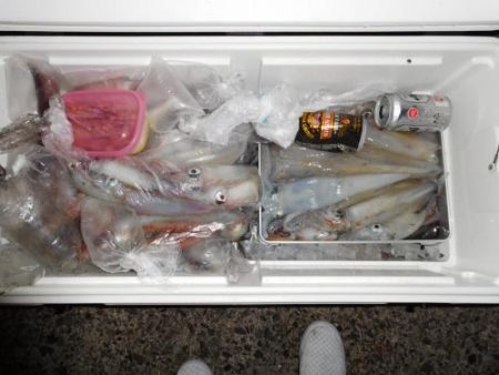 第二一之紀丸（ダイニイチノキマル） 釣果