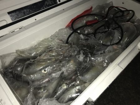 寿裕 （YOSHIHIRO） 釣果