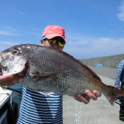大進丸(新潟) 釣果