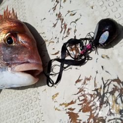 遊漁船 ニライカナイ 釣果