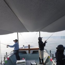 遊漁船 幸友丸 釣果