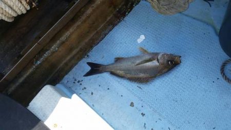 第五慶門丸 釣果