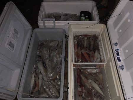 幸風（さちかぜ） 釣果