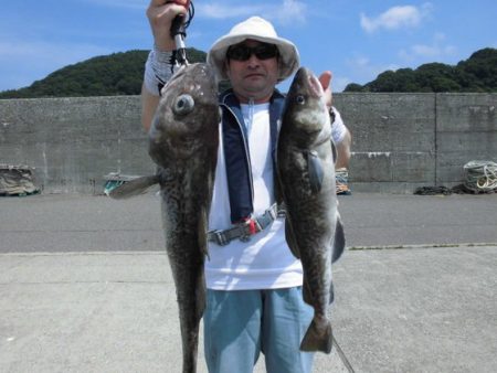 大進丸（新潟） 釣果