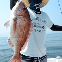 Marine T Design マリンティーデザイン 釣果